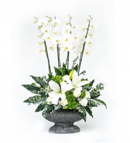 4 Dal Beyaz Orkide Aranjmanı